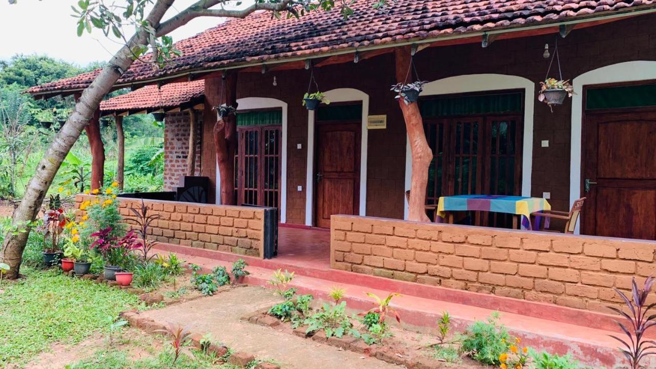 Sigiriya Chena Villa Zewnętrze zdjęcie