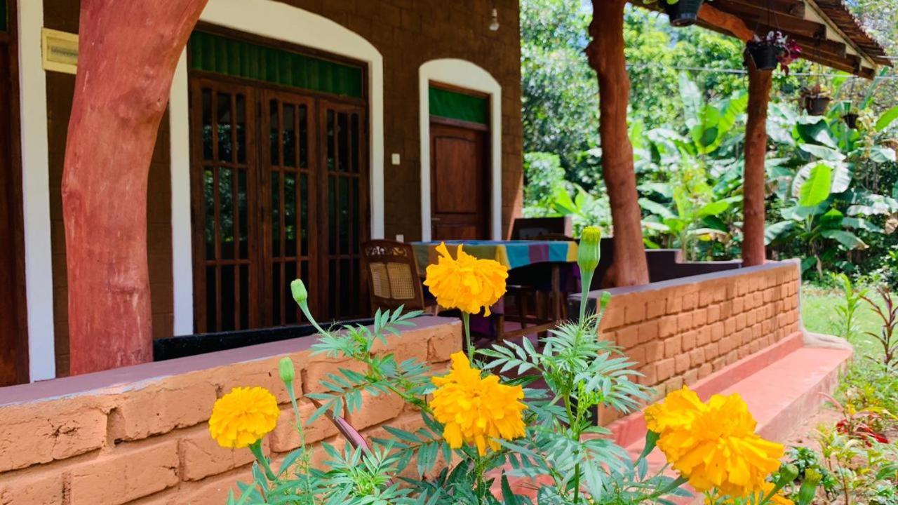 Sigiriya Chena Villa Zewnętrze zdjęcie