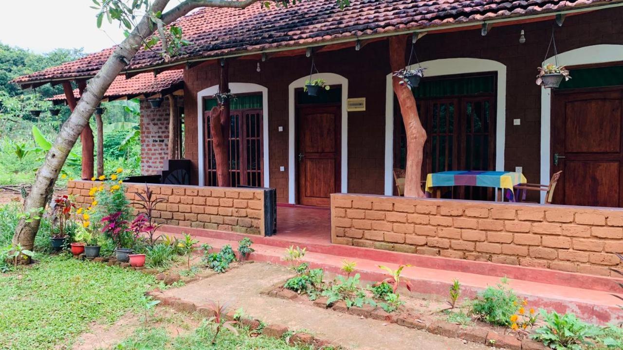 Sigiriya Chena Villa Zewnętrze zdjęcie