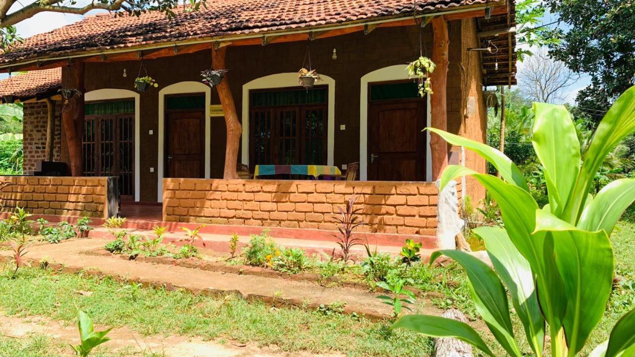 Sigiriya Chena Villa Zewnętrze zdjęcie
