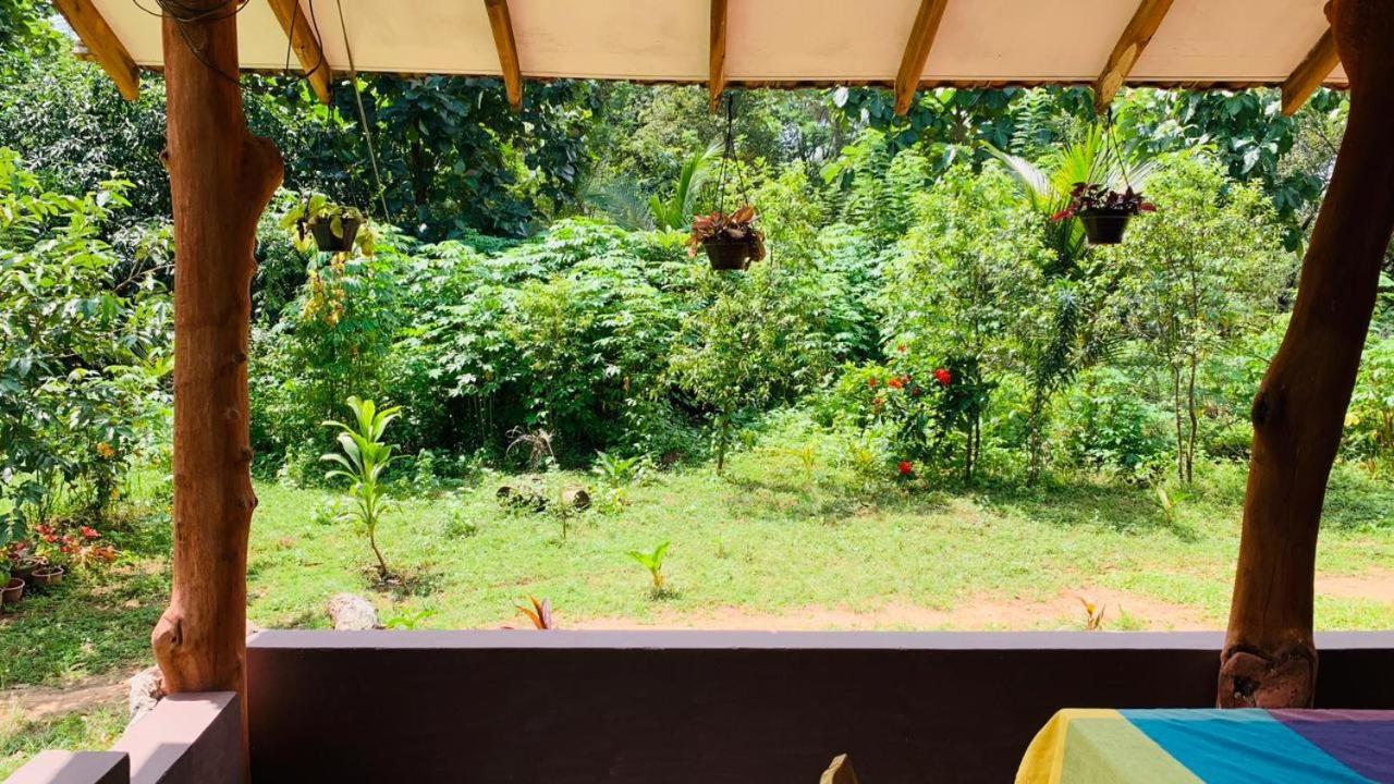 Sigiriya Chena Villa Zewnętrze zdjęcie