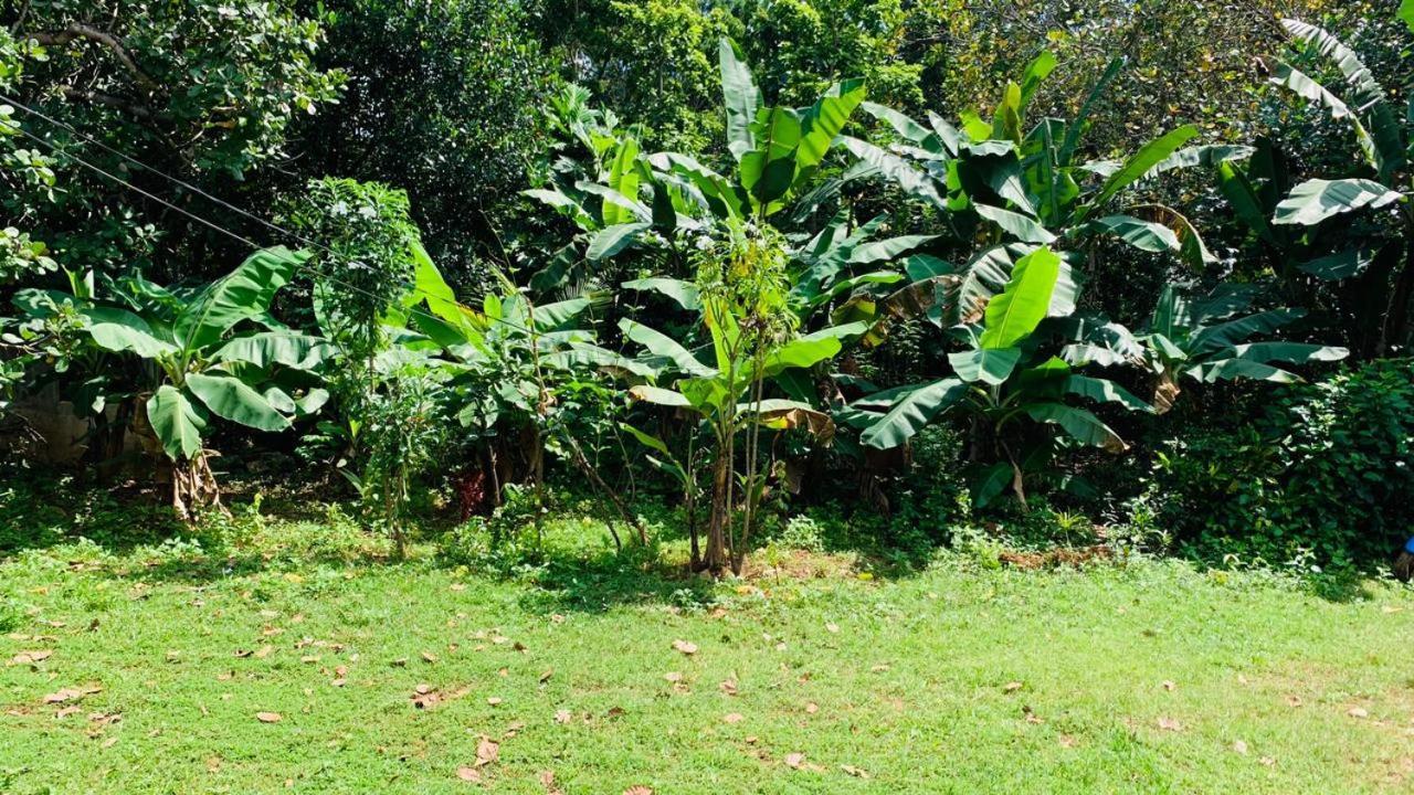 Sigiriya Chena Villa Zewnętrze zdjęcie