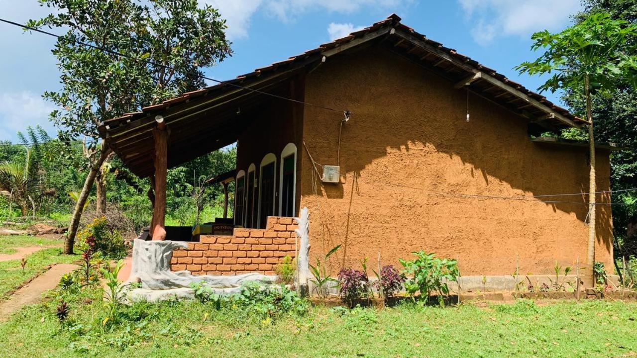 Sigiriya Chena Villa Zewnętrze zdjęcie